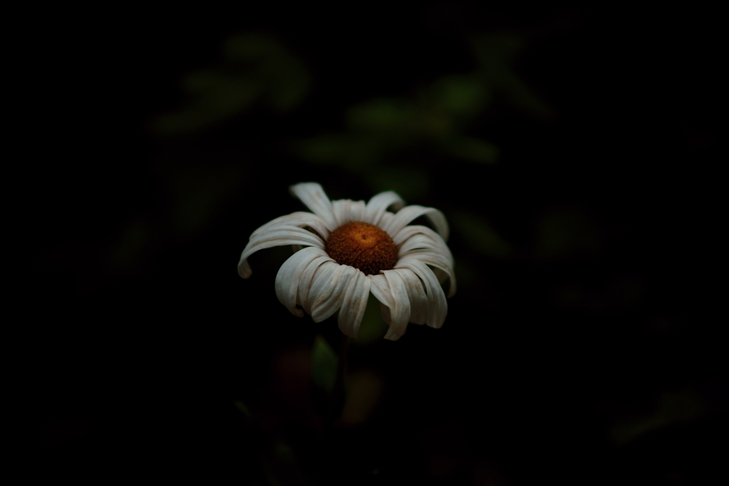 花標べ