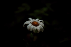 花標べ