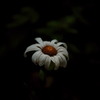 花標べ