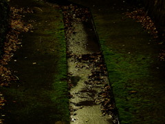 水途