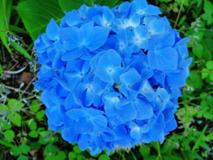 今年の6月の出来事 今年の6月の出来事