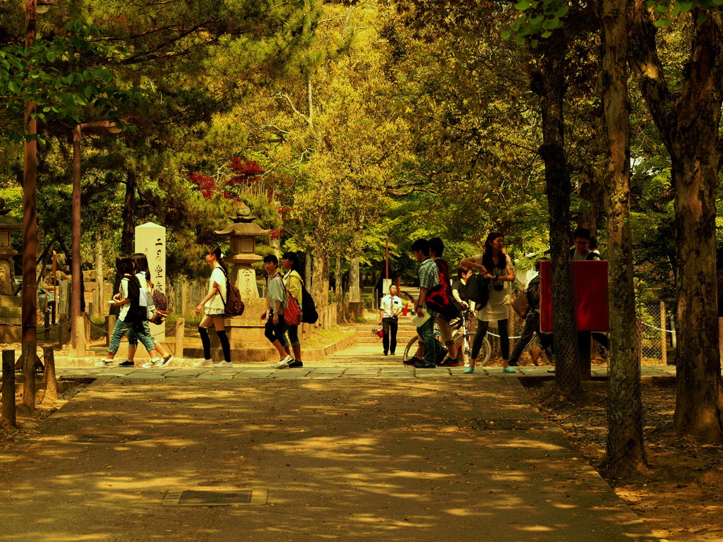 いにしえの往来