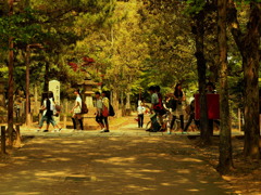 いにしえの往来