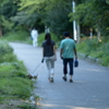 ただ何となく平和な日常