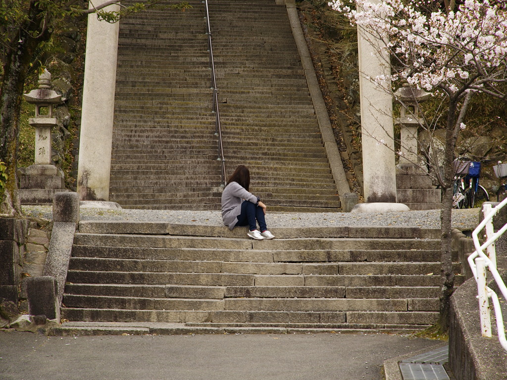 トライアル