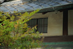 もうひとつの窓 もうひとつの窓