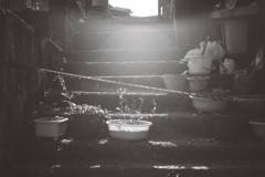 のぼりの先