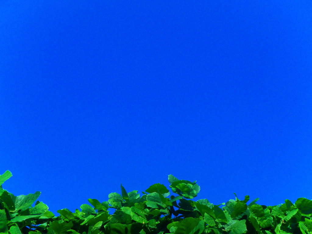 青空