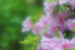雨に打たれてひとり