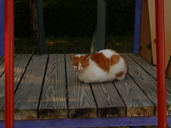 秋風のプラットフォーム