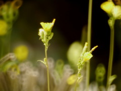 陽のあたる場所