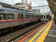 京成ストライプ