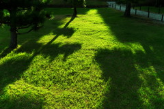 みどりのまきば