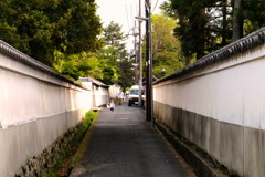 デジャヴ
