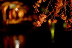 春の恵み