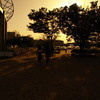 夕暮れアリーナ