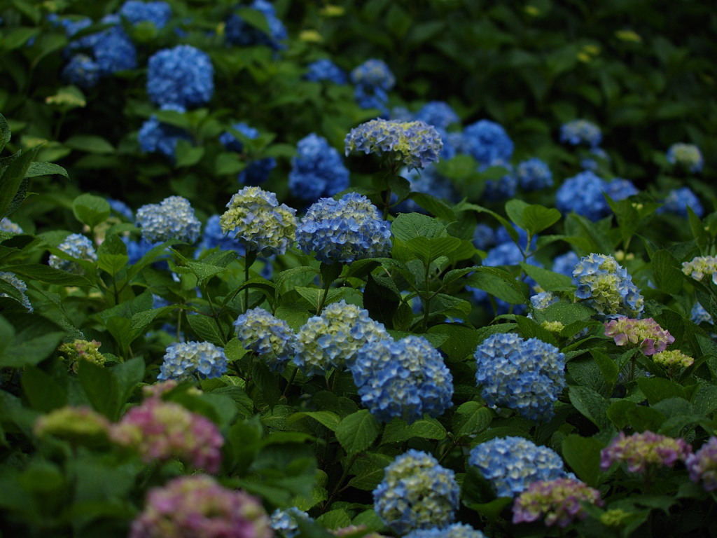 季節の花束