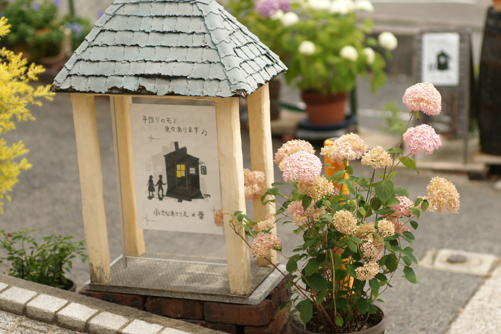 ちいさなあじさい