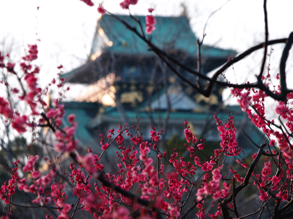 天守の彩