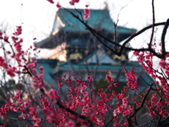 天守の彩