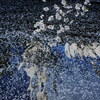 桜の吹雪
