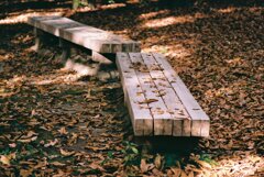 落葉のベンチ