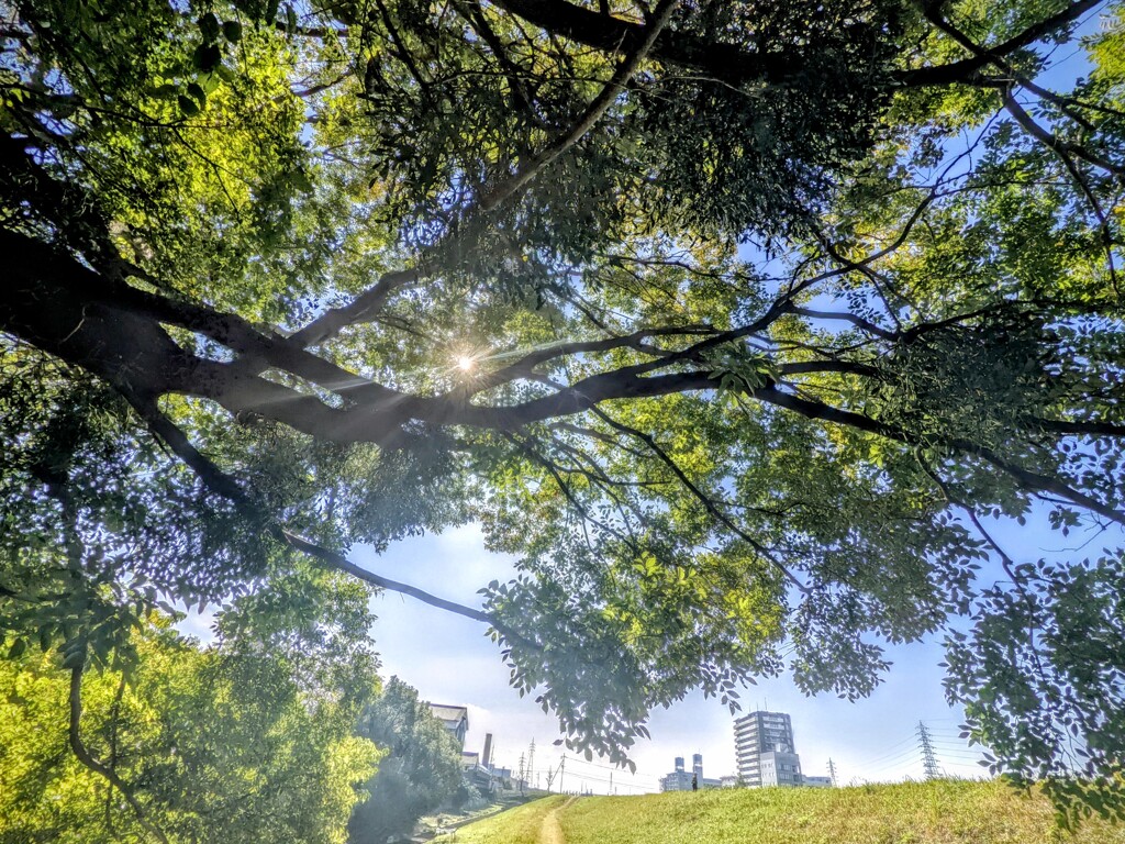 秋天の秋空