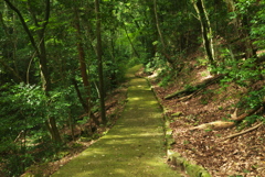 山肌の参道