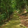 山肌の参道
