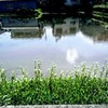 気まぐれな風景