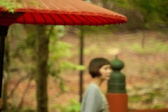 通りにみる景色
