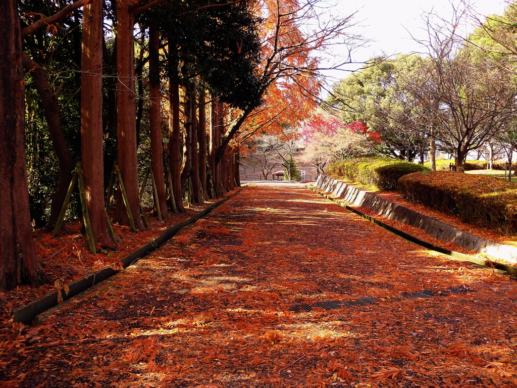 坂道の風景