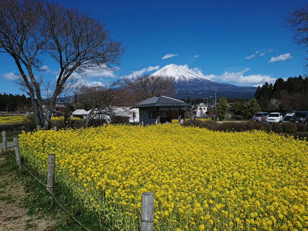 こんな日もあるさ
