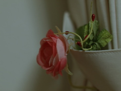 チャームポイント