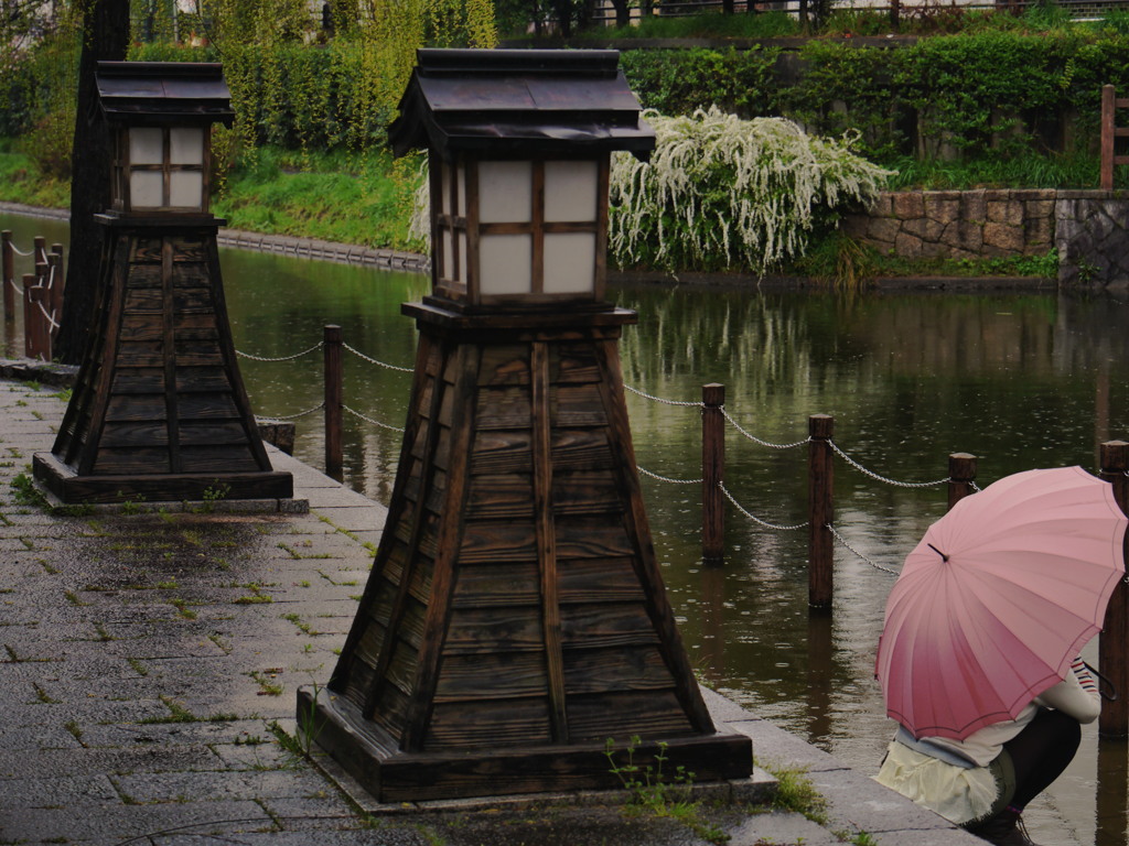俄雨