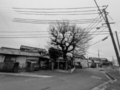 春嵐の空