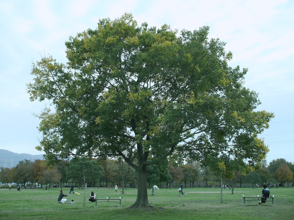 今日見た風景リターンズ