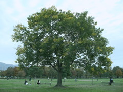 今日見た風景リターンズ