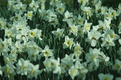 雑踏の中のひとり