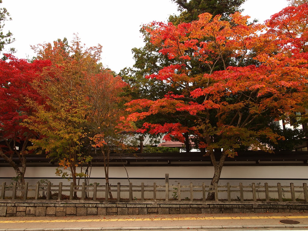 白壁の坂道