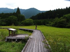 小田貫湿原