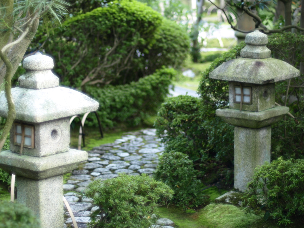 通りの画