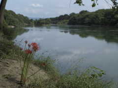 曼珠沙華 流景