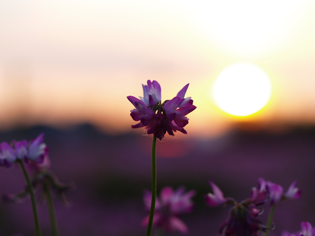 空に太陽がある限り