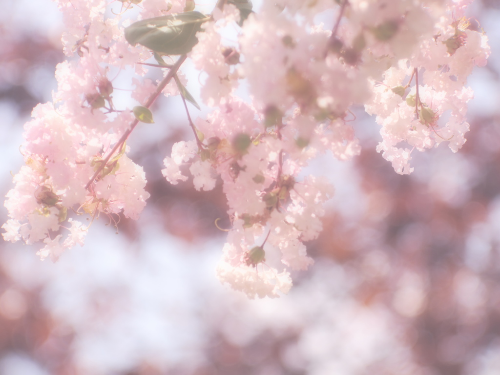衣替えファクトリー
