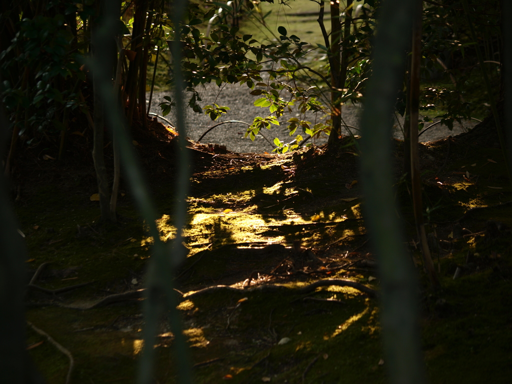 導くものは光なり