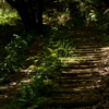 峠路