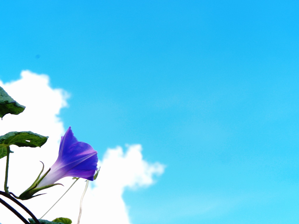 秋風涼し夏の空