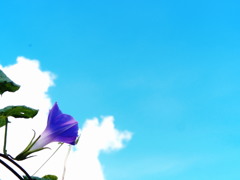 秋風涼し夏の空