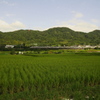 東部大阪